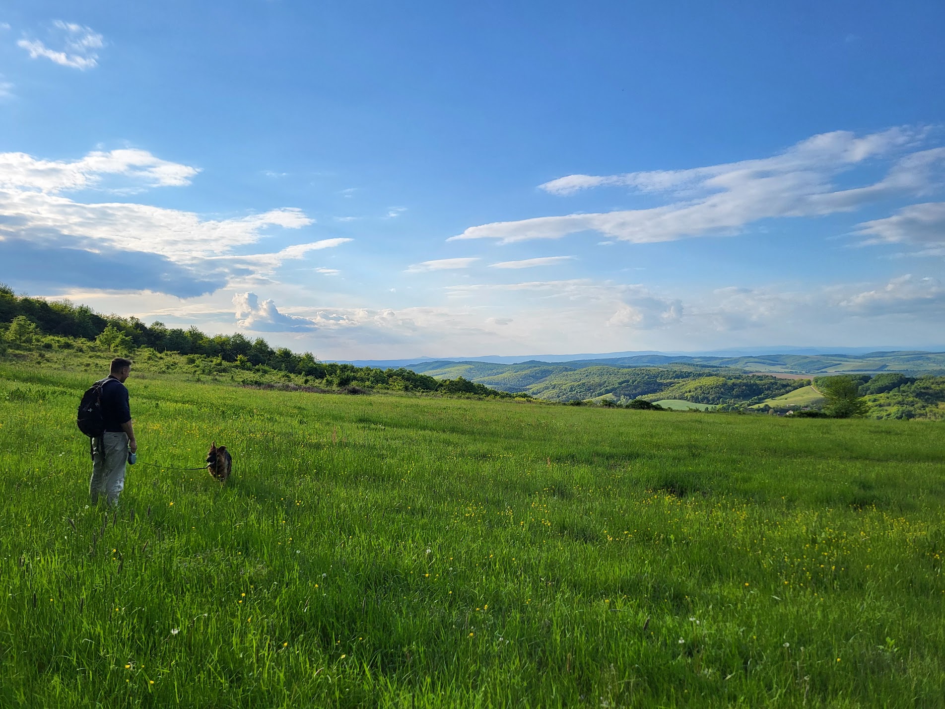 Oscar and Atlas in a wide green landscape